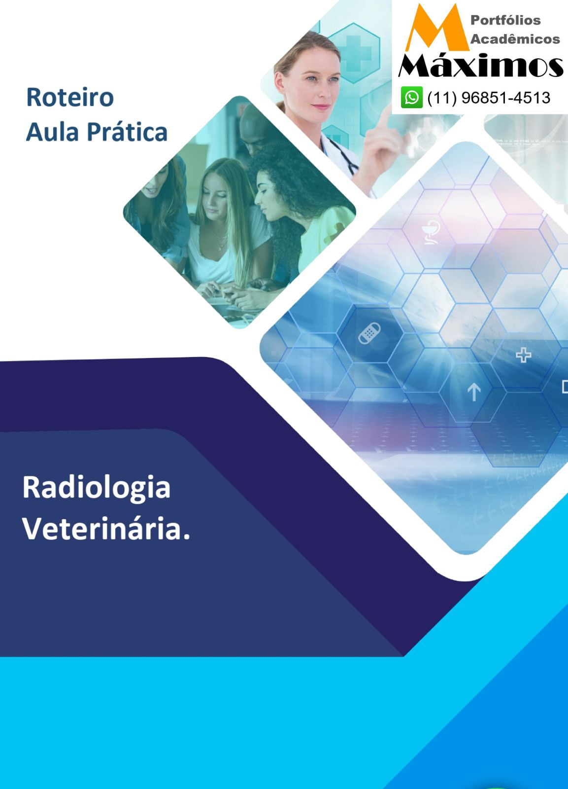 Roteiro Aula Prática - Radiologia Veterinária