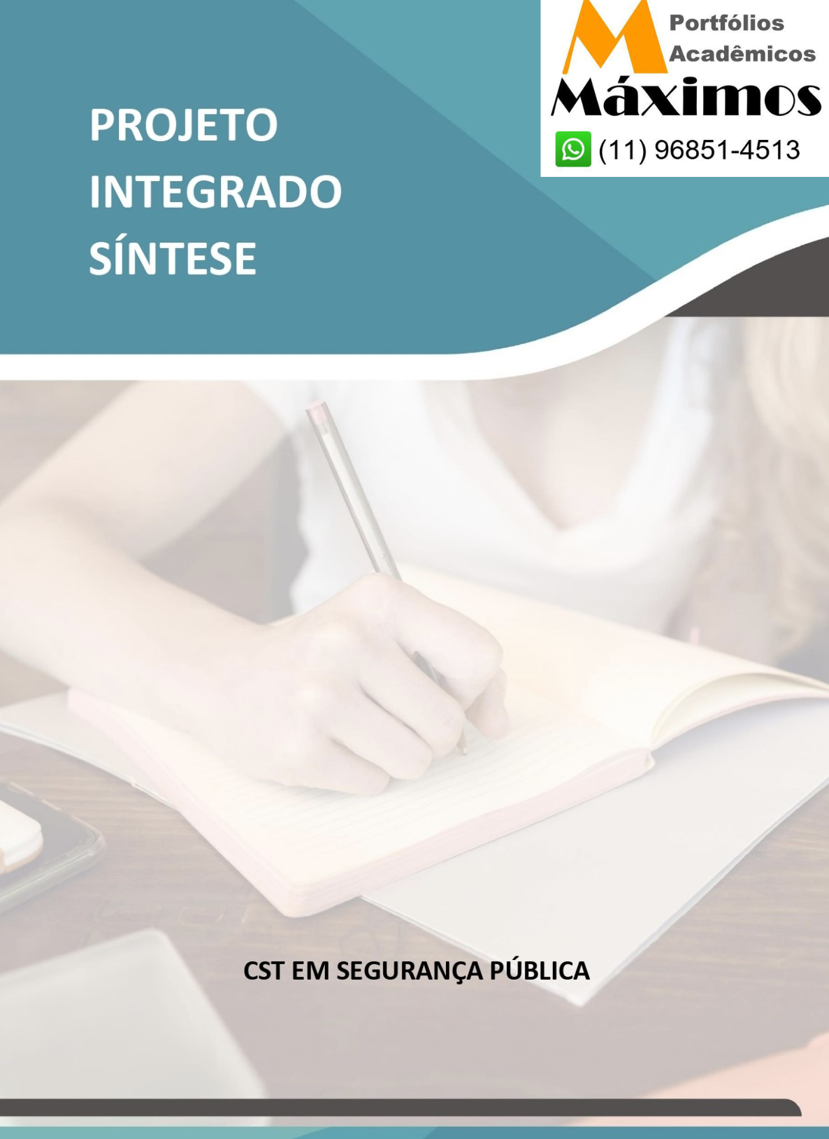 Projeto Integrado Síntese – Segurança Pública